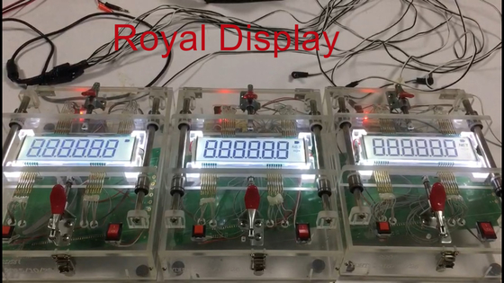 Esposizione LCD su misura di segmento del grafico 7 per la scala elettronica con la lampadina