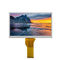 Pannello LCD LCD 1.90W 7,0&quot; di alta luminosità del pannello LVDS 1024x600 di alta luminosità TFT