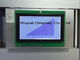 Il LCD grafico visualizza lo strumento industriale di Digital FSTN 240X128 dei punti della lampadina del modulo LCD su ordine della PANNOCCHIA