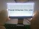 OEM/ODM Stn 128X64 grigio Dots Matrix con l'esposizione LCD RYG12864M ST7565R del modulo di LCD della PANNOCCHIA di Blacklight
