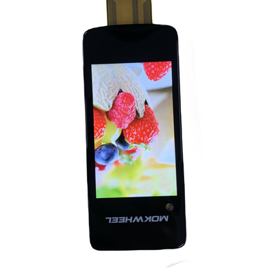 IPS 3.1'' TFT LCD Display 480rgbx800 Display di risoluzione con vetro Boe