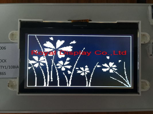 Lampadina bianca LCD su misura del modulo LCD del grafico del DENTE di STN/FSTN 192*64 Dots Size mono
