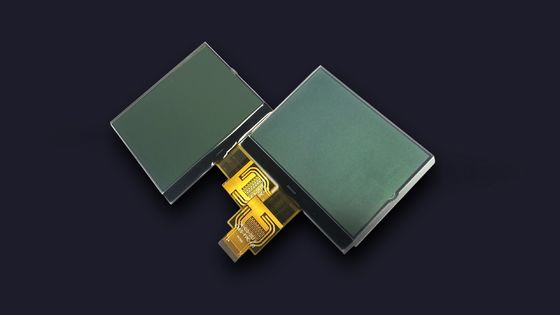 Modulo LCD UC1698 di LCD di FSTN 7 di segmento dell'esposizione 160X160 del grafico positivo del dente