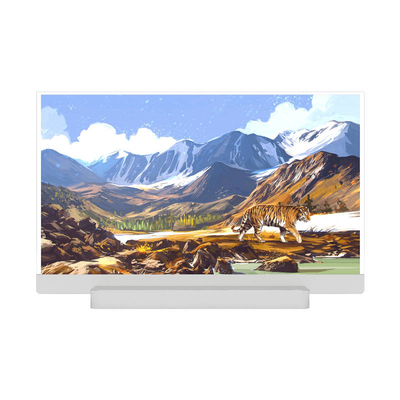AMOLED LTPS 5.55' 720*1280 interfaccia MIPI RGB SH1386 Modulo LCD per dispositivo intelligente