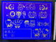Rtp 320x240 punteggia il modulo LCD grafico positivo monocromatico LCD del pannello FSTN con Blacklight bianco