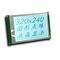 Mono esposizione LCD di Stn Gray Graphic del dente 160X160 per il LCD elettrico di Blacklight RA8835 dello strumento