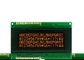Modulo LCD del carattere di DFSN 20x4 con Inglese-Giapponese della lampadina del LED