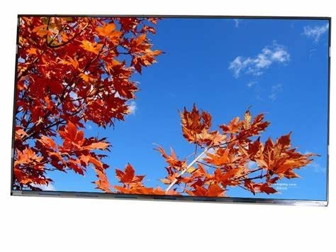 11.6' 1920*1080 Tianma FHD SFT TFT LVDS LCD Modulo con touch
